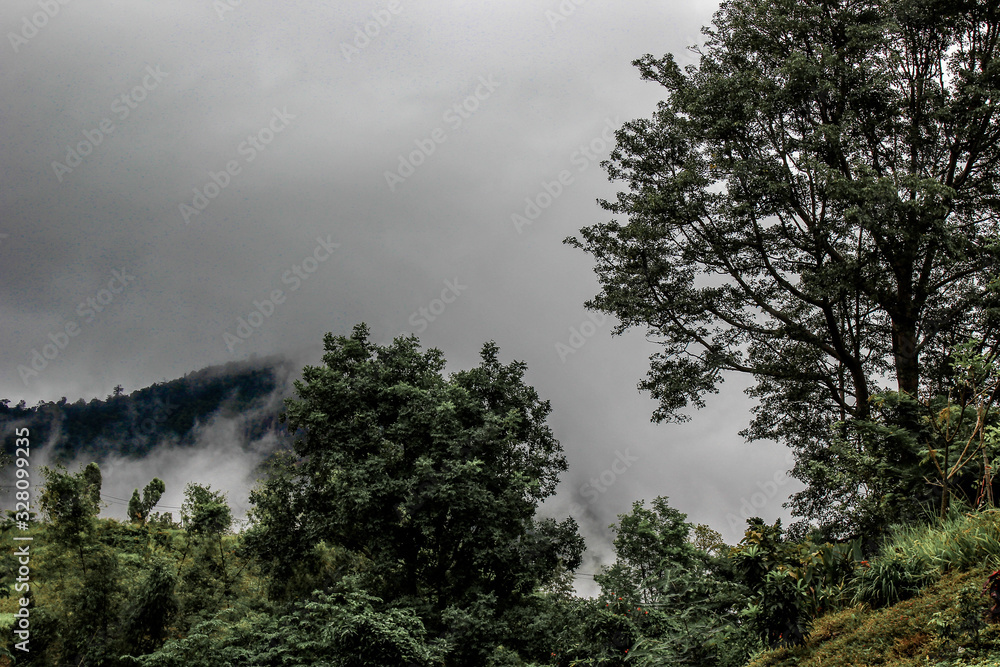 Blurred nature background of mist covering the trees on the mountains, scenic spots along the way, cool breezes