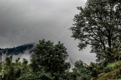 Blurred nature background of mist covering the trees on the mountains, scenic spots along the way, cool breezes © bangprik