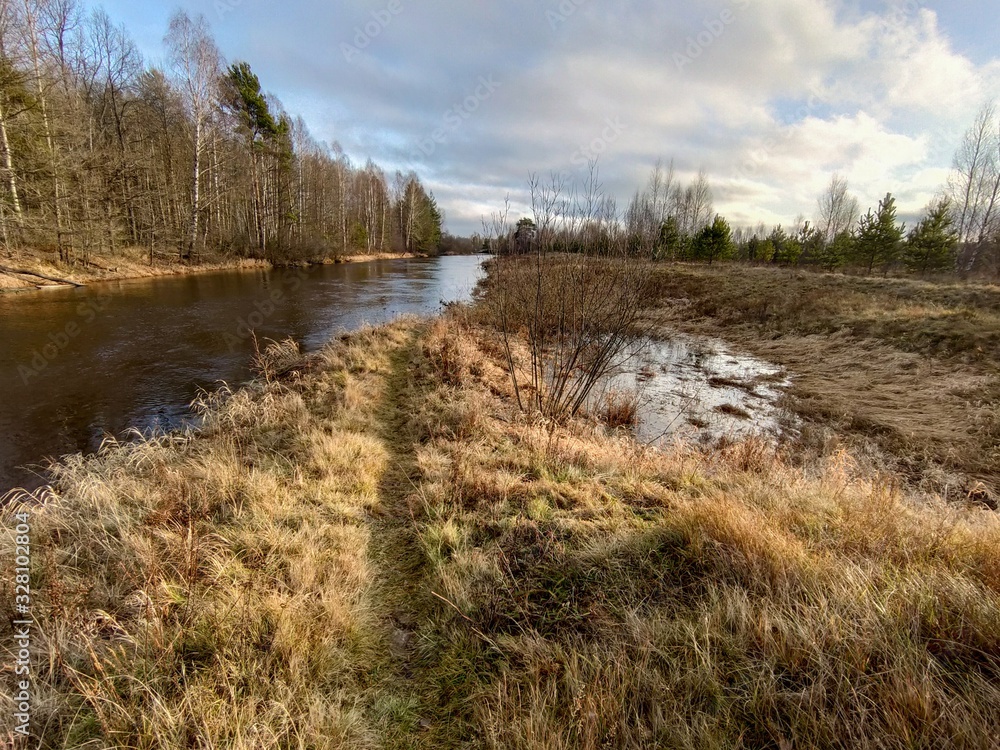 river in forest