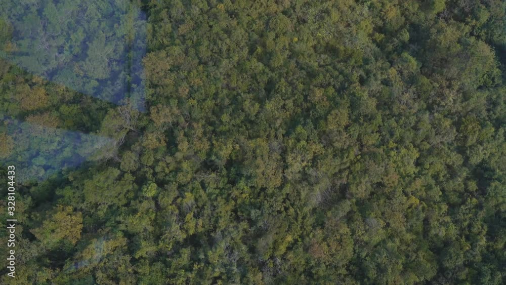 Aerial top view of waving summer green trees in forest, Hong Kong Island, China, Taken from Crystal Cabin. Aerial top view of waving summer green trees in forest, Hong Kong Island, China, Taken from Crystal Cabin.