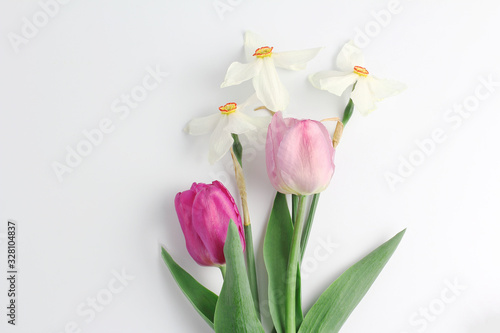 mini bouquet of spring flowers on a white background. white daffodils and purple and pink tulips