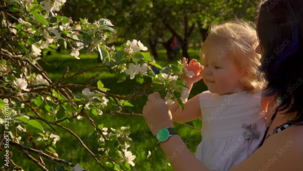 Mother and a little blonde daughter in her arms are sniffing flowers on the apple tree in the garden Mother and a little blonde daughter in her arms are sniffing flowers on the apple tree in the garden