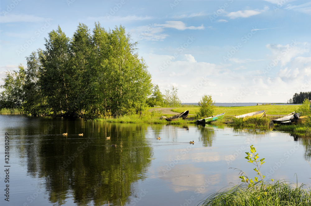Ducks Swimming in the Lake Pyhaselka Surrounded by Trees, Boats, Water Grasses and Grassland under Cloudy Sky in Joensuu, Northern Karelia, Finland at Summer Afternoon in June 2019 Ducks Swimming in the Lake Pyhaselka Surrounded by Trees, Boats, Water Grasses and Grassland under Cloudy Sky in Joensuu, Northern Karelia, Finland at Summer Afternoon in June 2019
