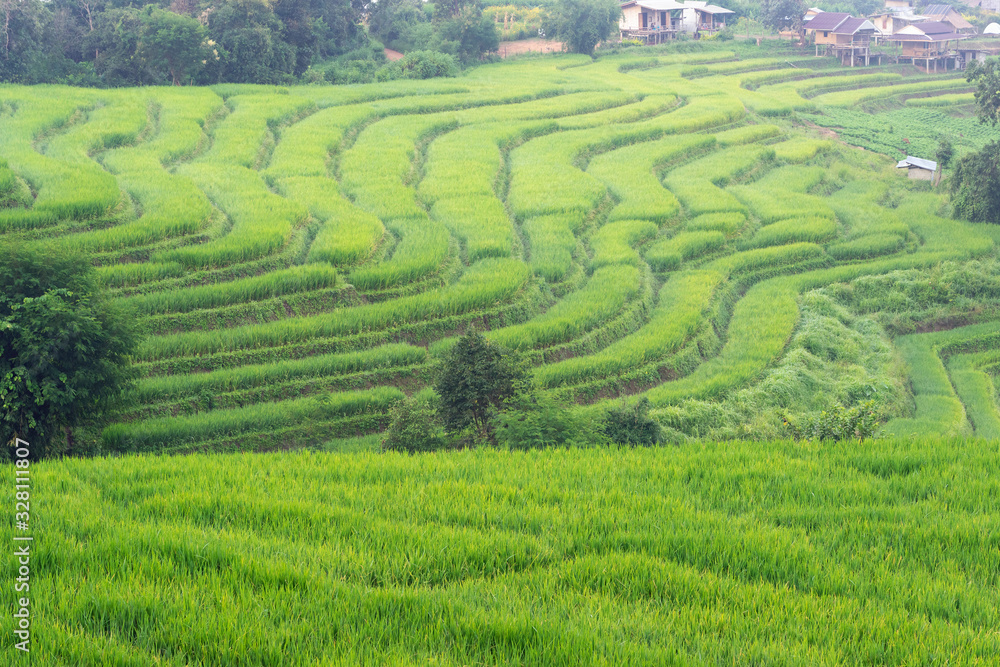 Green rice terrace and small village in Thailand