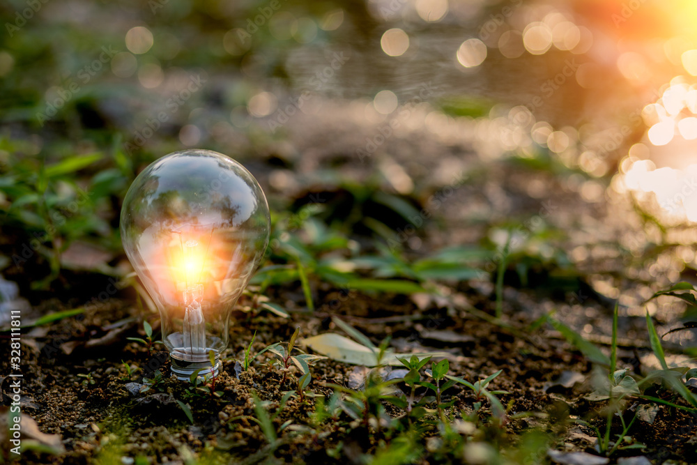 Light bulb Energy saving green nature background Light bulb Energy saving green nature background