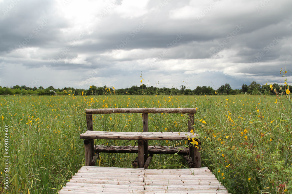 Obraz premium The old wooden bench is at the end of the bamboo path in the flower field.