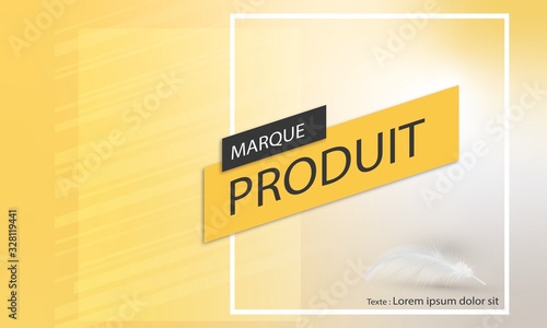 Carton Faire part Flyer Mandarine  et plume blanche