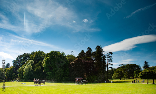 Tableau sur toile Horse and cart tours through Killarney national park in the republic of Ireland
