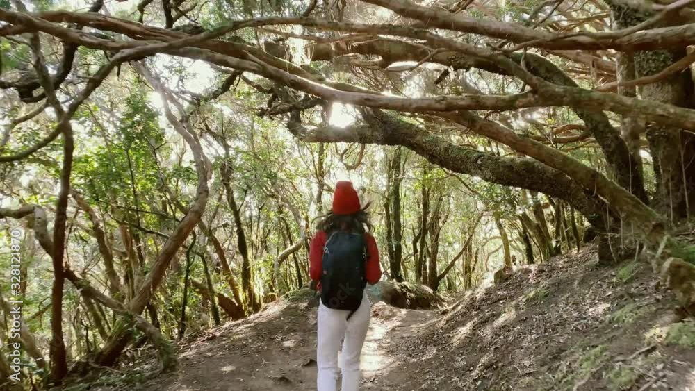 Woman dressed casually in red shirt and hat running in the beautiful rainforest, view from the backside. Video recorded on a smartphone Woman dressed casually in red shirt and hat running in the beautiful rainforest, view from the backside. Video recorded on a smartphone