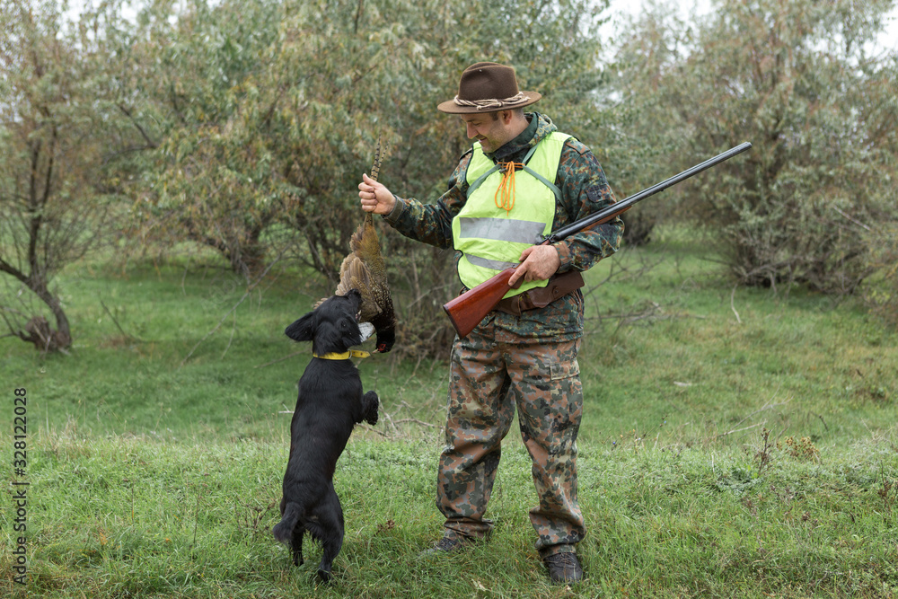 Hunting period, autumn season open. A hunter with a gun in his hands in hunting clothes in the autumn forest in search of a trophy. A man stands with weapons and hunting dogs tracking down the game. Hunting period, autumn season open. A hunter with a gun in his hands in hunting clothes in the autumn forest in search of a trophy. A man stands with weapons and hunting dogs tracking down the game.