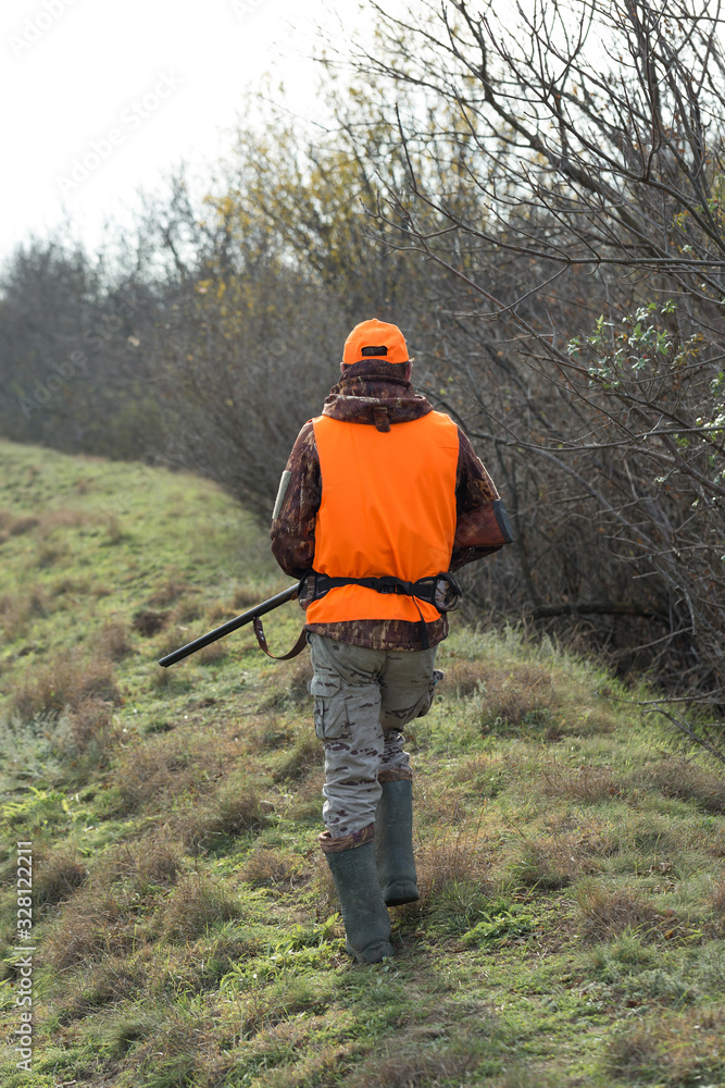 A man with a gun in his hands and an orange vest on a pheasant hunt in a wooded area in cloudy weather. Hunter with dogs in search of game. A man with a gun in his hands and an orange vest on a pheasant hunt in a wooded area in cloudy weather. Hunter with dogs in search of game.