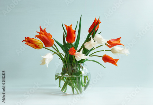 Bouquet of flowers  tulips and lilac on glass vase. Spring blue background. 8 of March or celebration concept of banner or greeting card