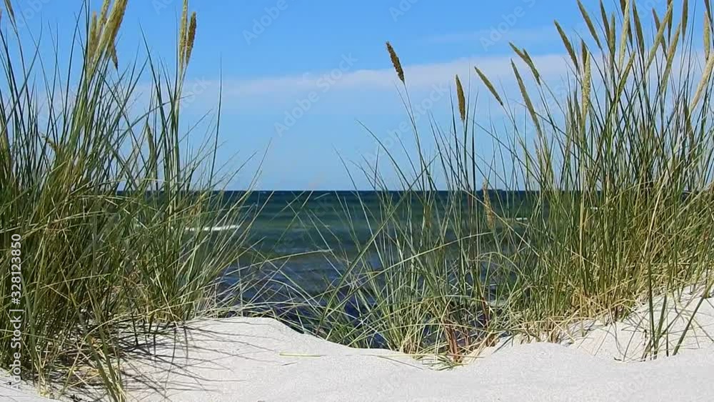 Baltic Sea Beach with Sea Grass - Ocean View Baltic Sea Beach with Sea Grass - Ocean View