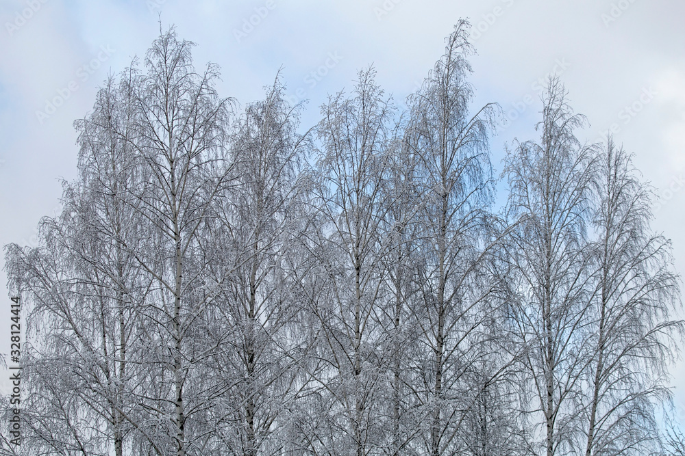 Abstract winter composition. Snow on the tree branches. Abstract winter composition. Snow on the tree branches.