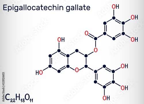 Epigallocatechin gallate (EGCG), is the most abundant catechin in tea. Structural chemical formula. Vector illustration