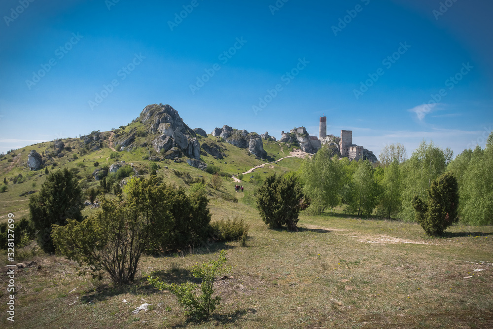 View on the ruins of ancient medieval castle in Europe on the stone rocks in the forest  in mountains