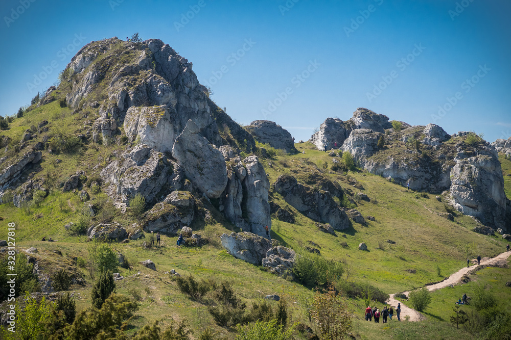Fototapeta premium Nature landscape of mountain rocks with green grass and blue sky in summer