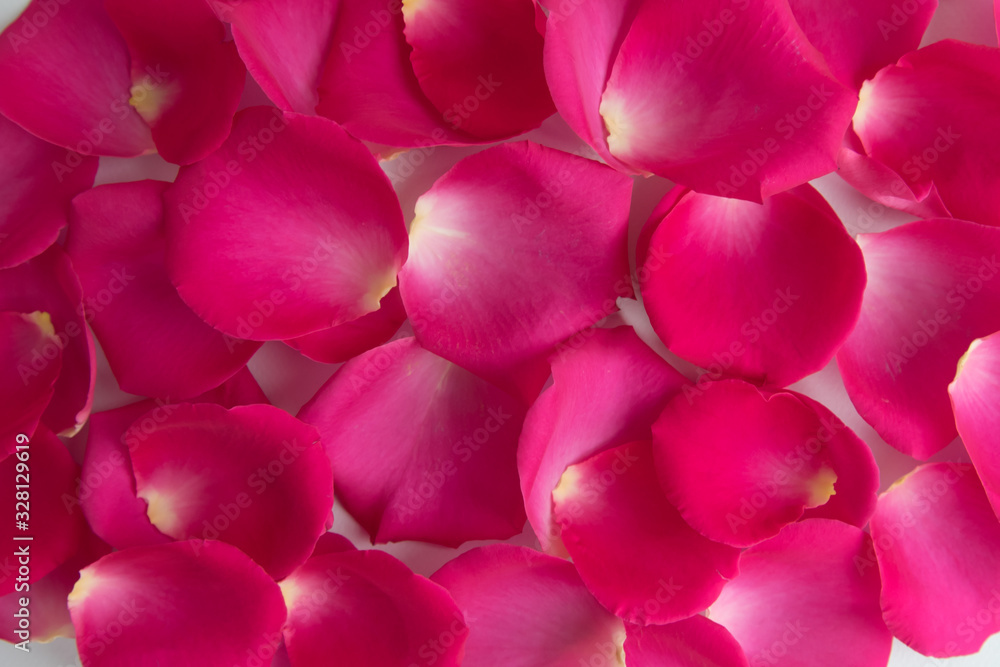 Lots of pink rose petals. The view from the top. Background, postcard, romance, wedding invitation. Lots of pink rose petals. The view from the top. Background, postcard, romance, wedding invitation.