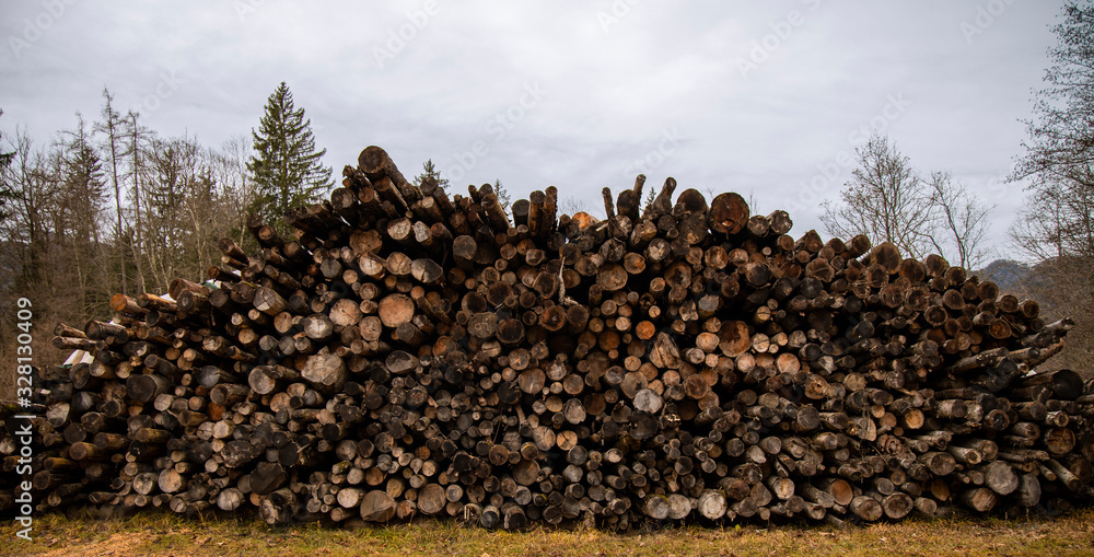 felling of trees deforestation process ecology problems in European Union region environmental space Austria forest near Alps moody depression gray and brown colors picture felling of trees deforestation process ecology problems in European Union region environmental space Austria forest near Alps moody depression gray and brown colors picture