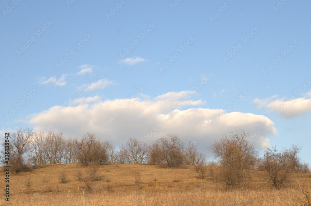 Scenic early spring landscape with golden hills, trees, blue sky, and white clouds