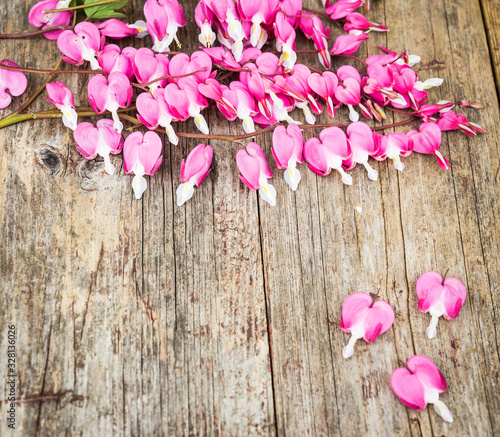 Bouquet of pink flowers. Heart-shaped flowers. Bleeding heart flowers (Dicentra spectabils). Vintage floral background. photo