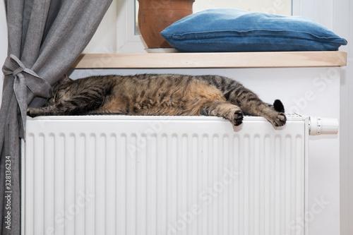 cute cat lying and sleeping on the heating radiator at home