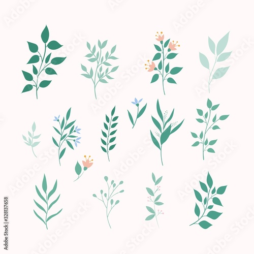 Vector leaves set. Botanical elements