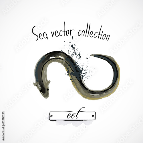 Eel seafood taste for packing or menu watercolor spray seafood poster on white background