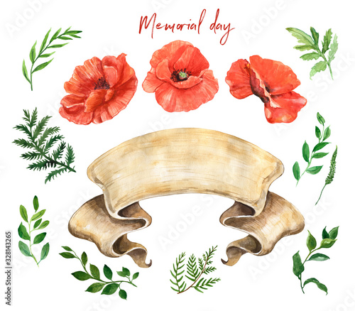 Watercolor floral elements set. Hand drawn red poppies, greenery leaves, foli...