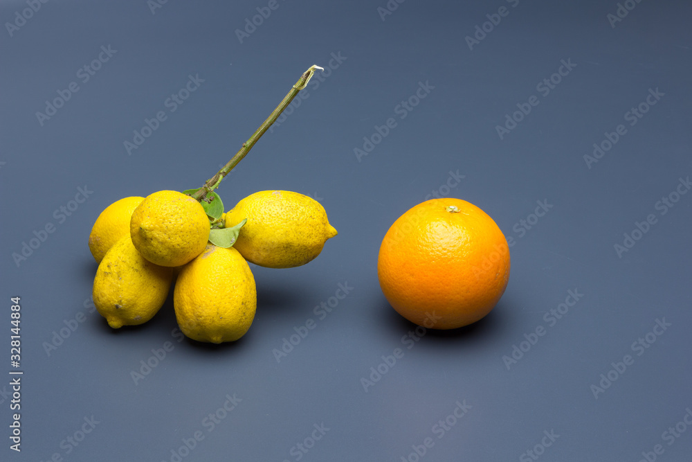 Oranges and lemons, Mediterranean fruits