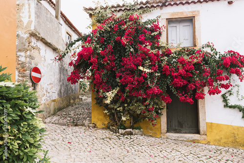 ”bidos, Portugal photo