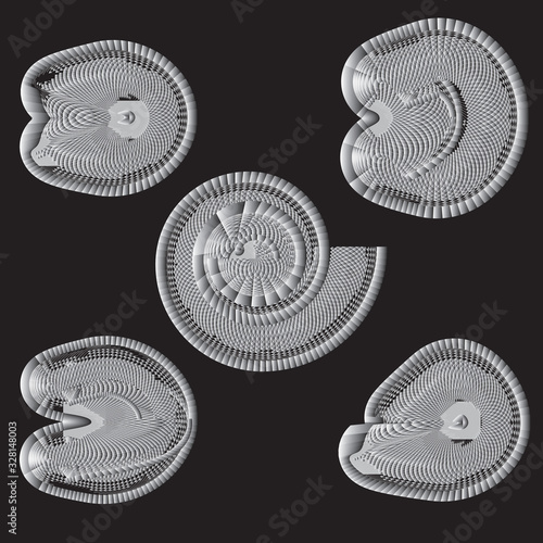 Collection of mollusk fossils. Abstract illustration