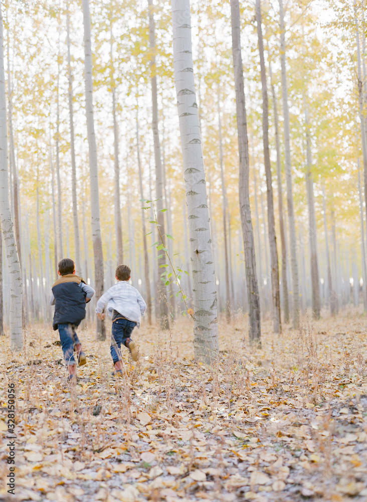 adventure in autumn woods adventure in autumn woods