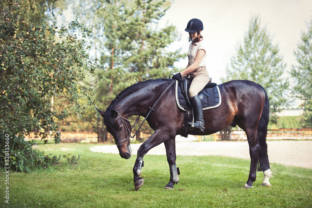 Fototapeta premium Young pretty girl riding horseback