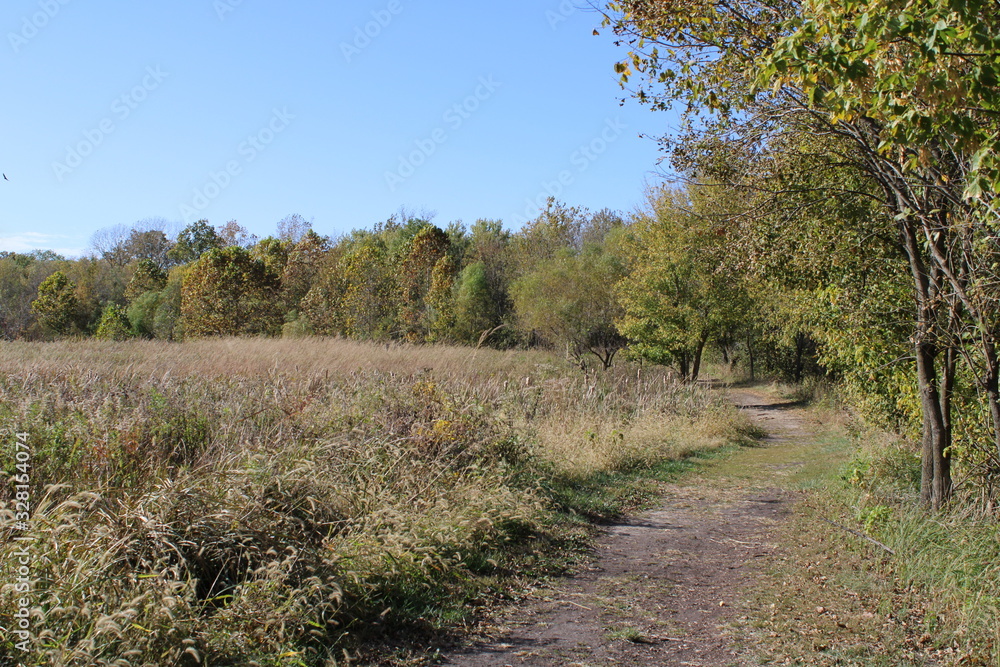 path between the prairie and forest path between the prairie and forest