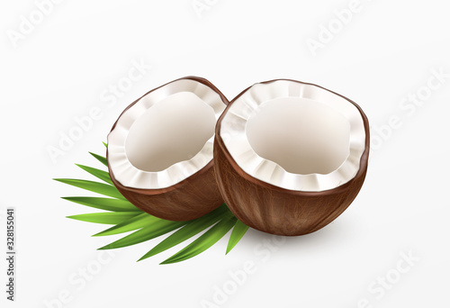 Sliced Coconut Isolated on White Background. Realistic vector illustration