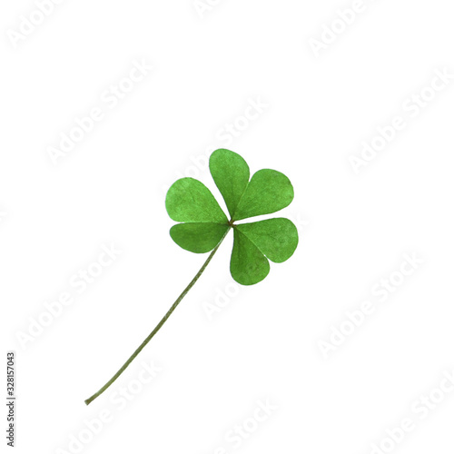 Fresh clover leaf isolated on white. St. Patrick's Day celebration