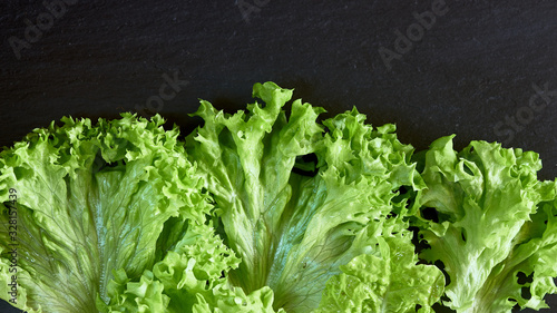 bright wavy lettuce on a dark slate surface