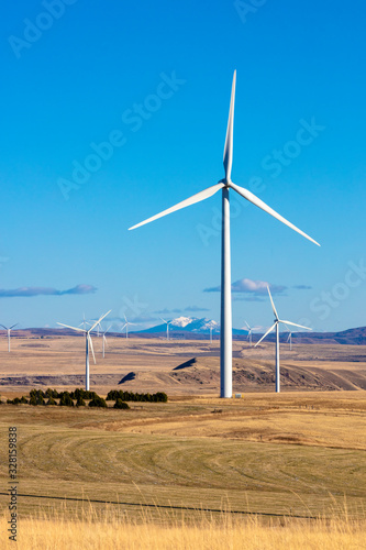 Wind turbines in a field with blue sky photo