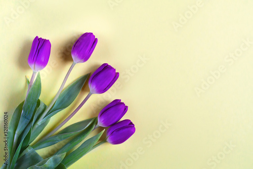 Bouquet of spring flowers over yellow paper sheet. Fresh five violet tulips as spring greeting card with copy space photo