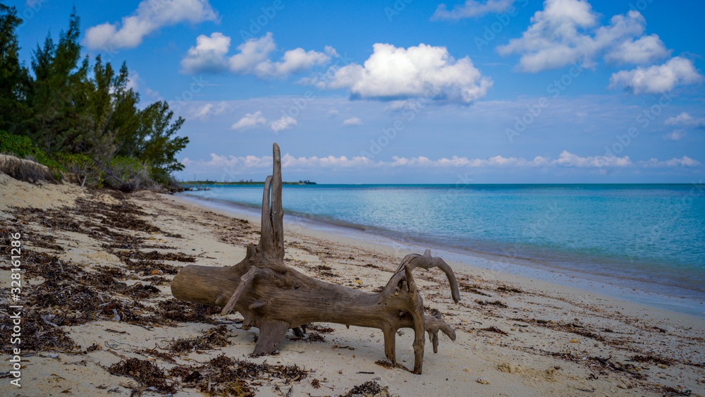 Karibischer Strand mit Baumwurzel im Vordergrund