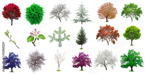 tree set in various colors and types isolated on white background
