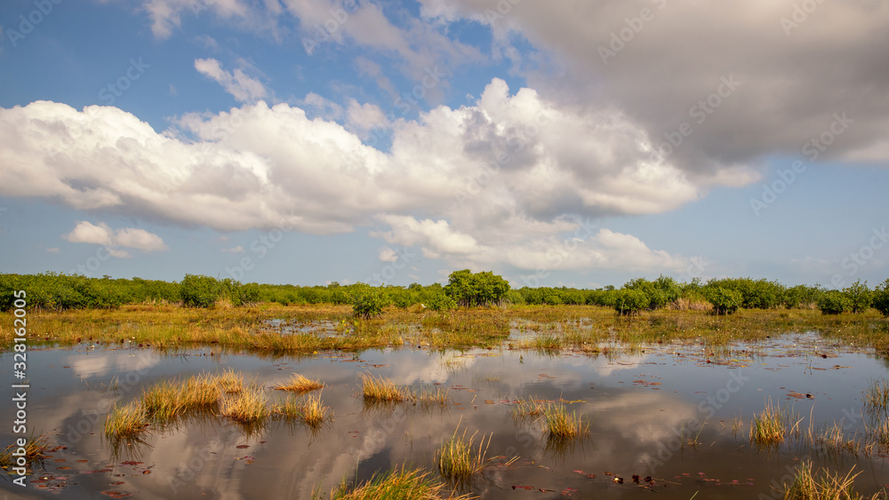 Mangroven in der Karibik - Belize