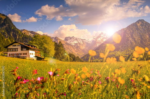 Flower meadow with snow covered mountains and traditional house in Sunset or Sunrise Backlit with lens flare. Bavaria, Alps, Allgau, Oberstdorf, Germany. photo