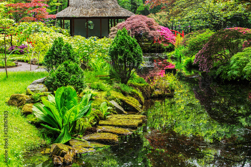 Japanese garden in Hague . Netherlandes