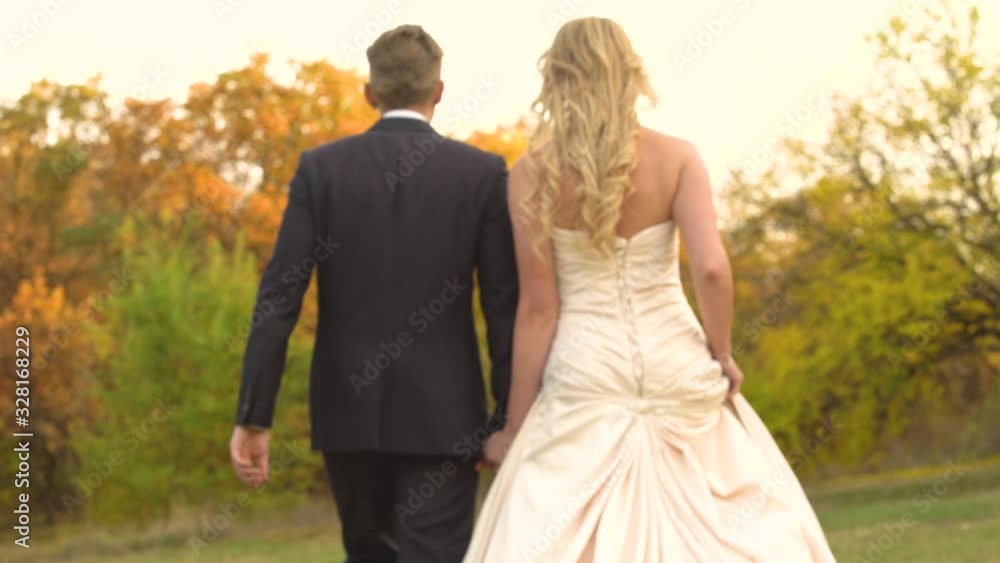 Rear view of newlyweds go into the distance holding hands on sunny day at autumn park. Rear view of newlyweds go into the distance holding hands on sunny day at autumn park.