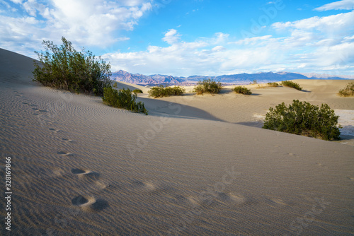 mesquite flat sand dunes in death valley, california, usa