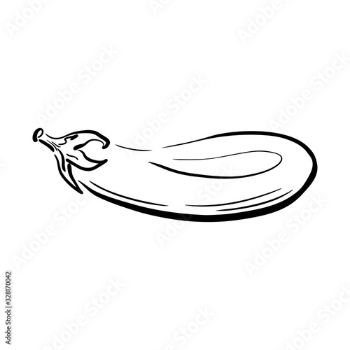 Hand drawn eggplant sketch. Ripe vegetable drawn in cartoon style. Healthy vegetarian food, vector illustration. Imitation ink drawing. Aubergine outline isolated on white background. For menu, print. © Retany