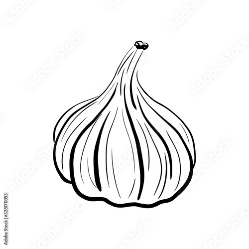 Hand drawn garlic sketch. Spicy vegetable drawn in cartoon style. Imitation of ink drawing. Natural organic spice isolated on white background. Vector illustration. For menu, icon, farmers market.