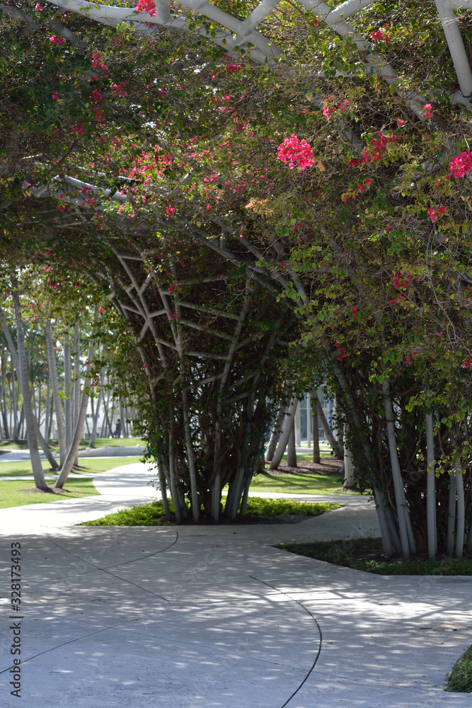 Obraz premium Soundscape Park's Bougainvilleas